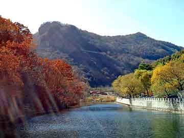 新澳门二四六天天开奖，山西煤价